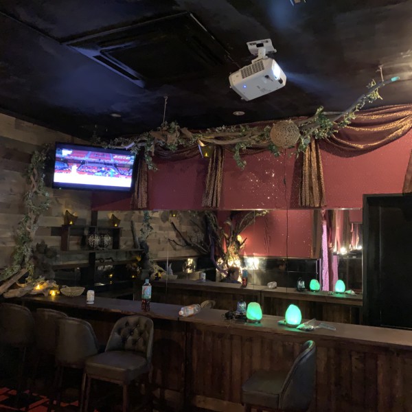 Bar interior decoration