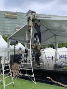 流木装飾