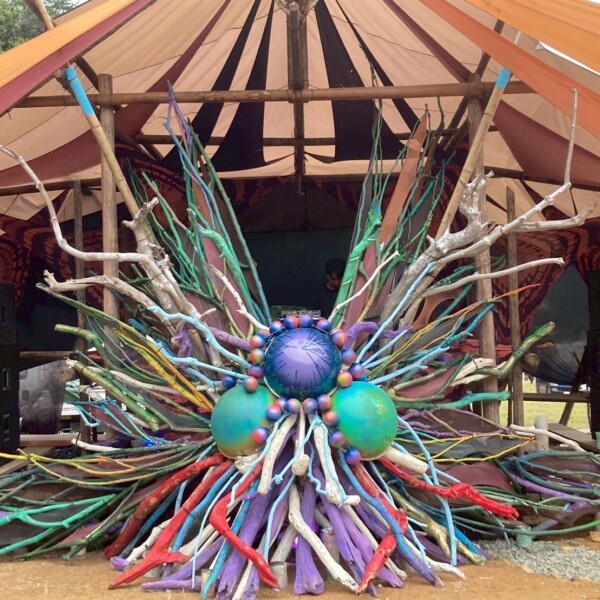 Gaia2025 swanp area decoration